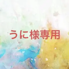 うに様確認専用ページ【取り置き中　4月1日迄】