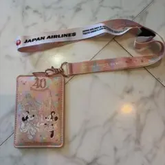 非売品未使用品　ディズニーランド・シー　パスケースJAL
