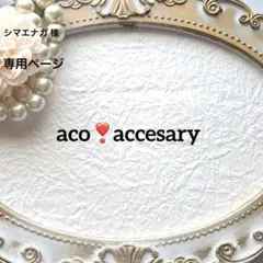 シマエナガ 様お取引中⭐3070⭐❣️大人可愛い春夏アクセ❣️オリジナル✴インド刺繍