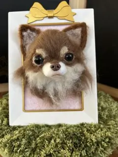 alice... 羊毛フェルト　ハンドメイド　チョコタンチワワ　Lサイズ 2025年最新】チョコタンチワワの人気アイテム - メルカリ alice