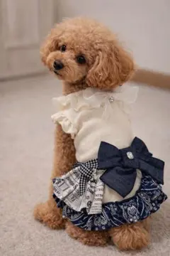 Marvel 犬服 フリルワンピース 小型犬 ペットウェア 新品