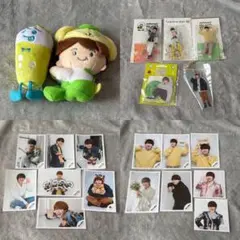 即購入可能◎】ちびぬい 大橋和也 ドーム 緑 風 衣装 - メルカリ