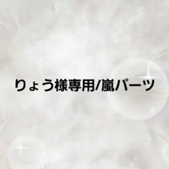 【りょう様専用】嵐パーツ