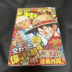 週刊少年ジャンプ 2006年10号※ツギハギ漂流作家 BLEACHポスターロビン