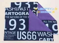 新品ランチョンマット2枚セット《No. SB43》