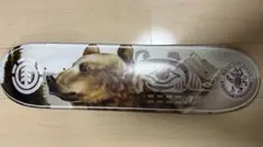 Item thumbnail for item 444847dd-77db-4585-bb76-6b9285998764