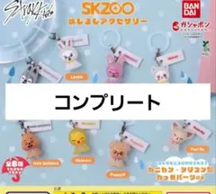 StrayKids スキズ SKZOO めじるしアクセサリー 全8種 コンプ