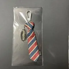 &TEAM VR BOUNDLESS キーリング KEYRING キーホルダーのサムネイル