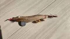 2026年最新】餌木猿 3.0号の人気アイテム - メルカリ