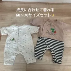 はらぺこあおむし　ロンパース2点セット