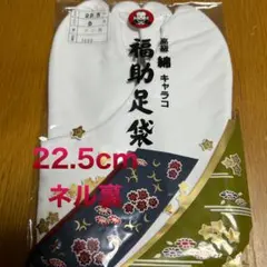 Item thumbnail for item 0ff0b584-1530-406f-af15-ea600a9dce61