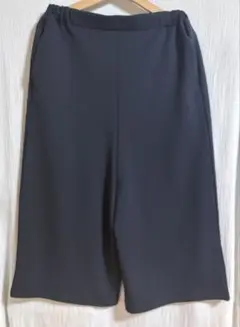 mizuiro ind ジョーゼットハイウエストイージーパンツ　ネイビー