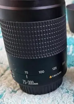 Canon ZOOM LENS EF 75-300mmのサムネイル