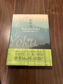 Item thumbnail for item 9221e528-5461-487b-b14a-983e097d9d03