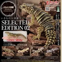 2026年最新】いきもの大図鑑アドバンス アルマジロトカゲの人気