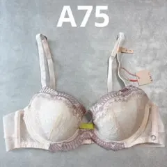 A75 シックデイジーレース チャーミングラマー トリンプ アモスタイ レースのサムネイル