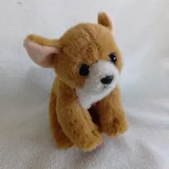 チワワ ぬいぐるみ マスコット チョコレート ノベルティのサムネイル