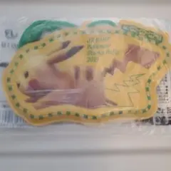 PSA9 ピカチュウ メガチルタリス ポンチョ 名刺 2016 - メルカリ