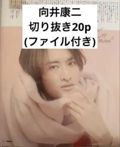 SnowMan 向井康二　切り抜き20p