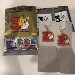 ポケモン　30周年ロゴマスコット　ポケチャーム　ヒノアラシ ヒコザル セット