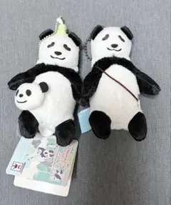 Item thumbnail for item 57594c89-111b-464d-abe0-860ffd373185