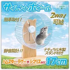 Item thumbnail for item ff2ef54a-685b-41d8-b795-39dbfdfcbe77