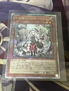 2026年最新】白き森のアステーリャ 25thの人気アイテム - メルカリ