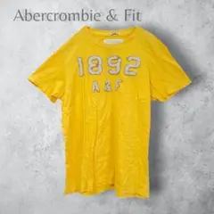 【Abercrombie&Fitch】　半袖カットソー　立体ロゴ　イエロー　Mのサムネイル