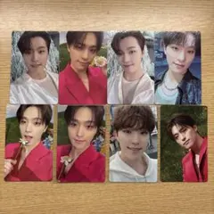 SEVENTEEN SECTOR17 トレカ ディノ