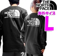 ノースフェイス ロンT 長袖Tシャツ 長袖 海外L 日本LL相当 黒 新品 tb