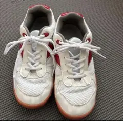 レディース　靴　ミズノ