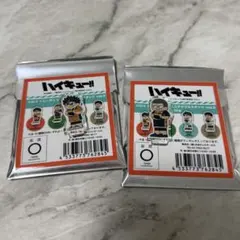 ハイキュー　ジロリ　アクリルスタンド