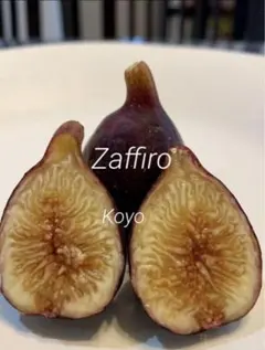 ペコちゃん割引あり♪様 リクエスト 4点 まとめ商品