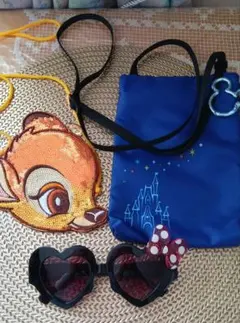 東京ディズニーリゾート バケーションパッケージ バッグ等3点セット