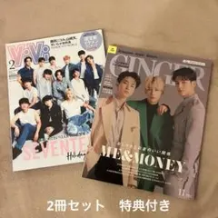 SEVENTEEN セブチ ViVi GINGER雑誌 特典付き