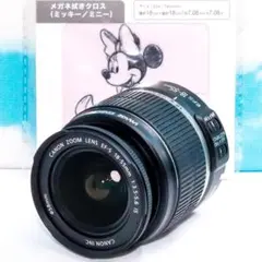 번역 개미 ⭐️ 캐논 Canon EF‑S 18-55mm⭐️ 표준 렌즈