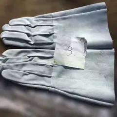 Item thumbnail for item 5dcb490e-bdf7-490e-abb7-8533f9d25f27