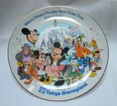 ディズニー ディズニーランド ミッキーデコレーションプレートのサムネイル