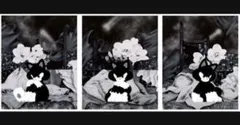 TIDE ED100 3枚セット Banksy kyne shun Sudo 2026年最新】shun sudo シルクスクリーンの人気アイテム - メルカリ