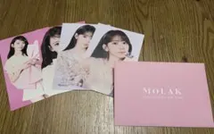 MOLAK モラク Le Sserafim 宮脇咲良　サクラ　ポストカード