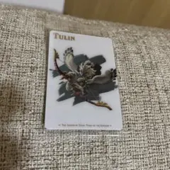 ゼルダの伝説 ティアーズ オブ ザ キングダム カードツインウエハース 05