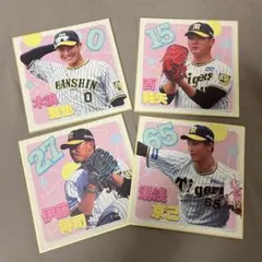 元阪神タイガース藪の色紙と写真3枚セット 2026年最新】Yahoo!オークション -阪神 藪(サイン)の中古品・新品・未