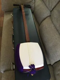 Item thumbnail for item 8016e82d-d37c-400f-a743-5e94f15eda6a