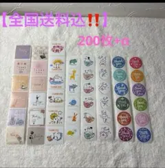 Item thumbnail for item 8efdbe6b-8f59-4c6e-b626-0d694f9b063b