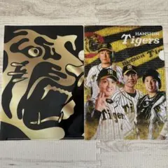 Item thumbnail for item 86e7414d-0e67-4402-b2a6-fe59b655b88a