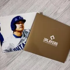 MLB PLAYERS バスタオル 読売新聞 非売品のサムネイル