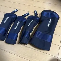 Item thumbnail for item 7a5a69e6-b8a8-40ae-bcda-40de02f43c3b