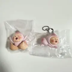 カクレモモジリ ガチャ セット