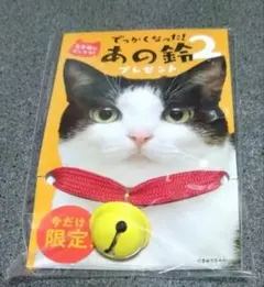 점점 커져가고 있어요!저 벨 2 캣 칼라