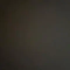 ぷーこ様専用出品